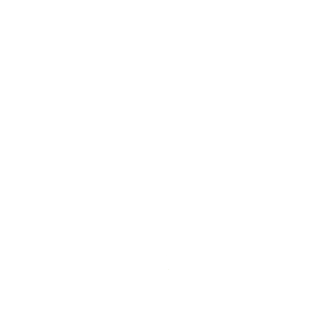 Long Island Wedding Photographer | Lotus Wedding Photography