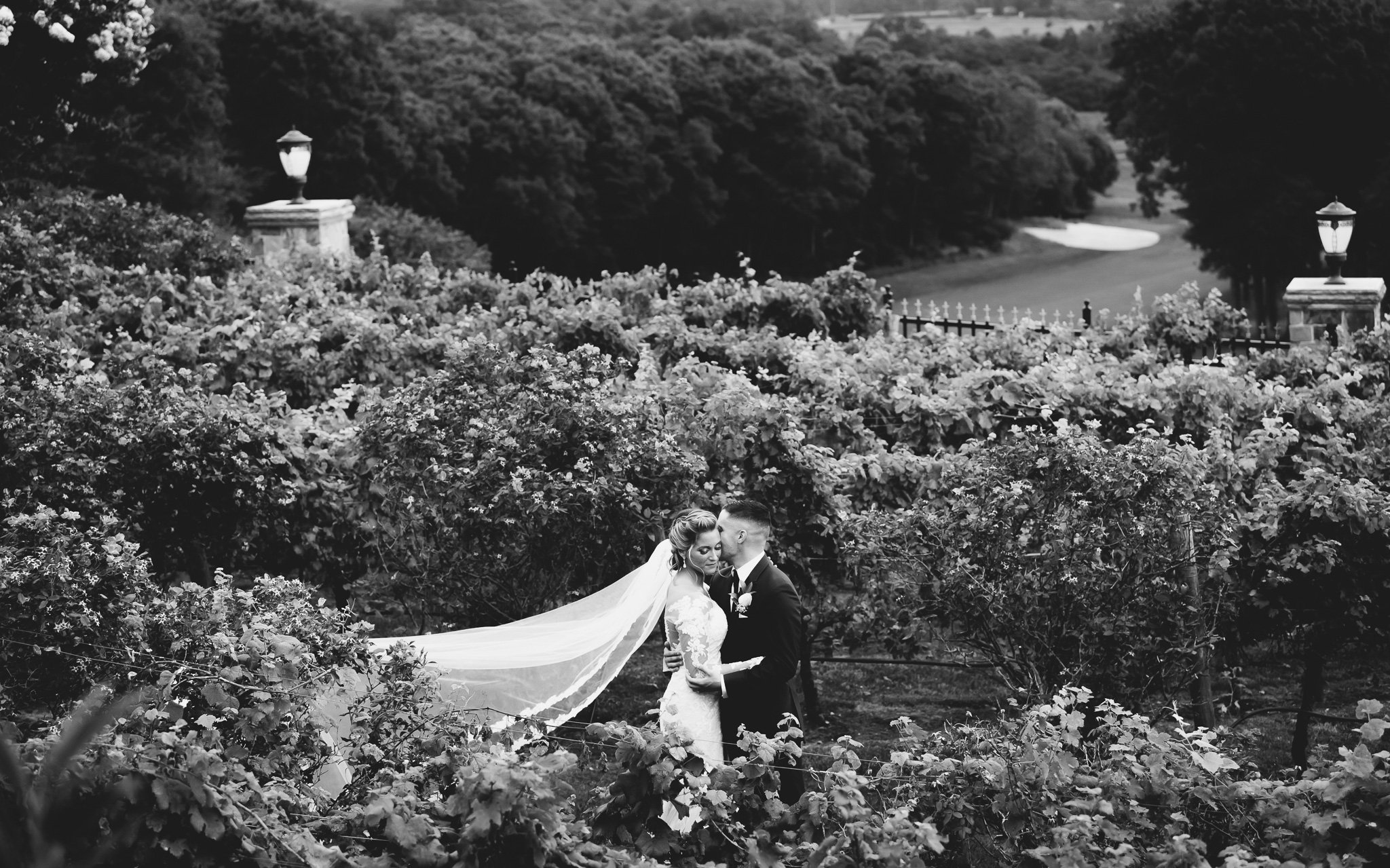 Giorgio's Baiting Hollow | Vineyard Wedding Pictures