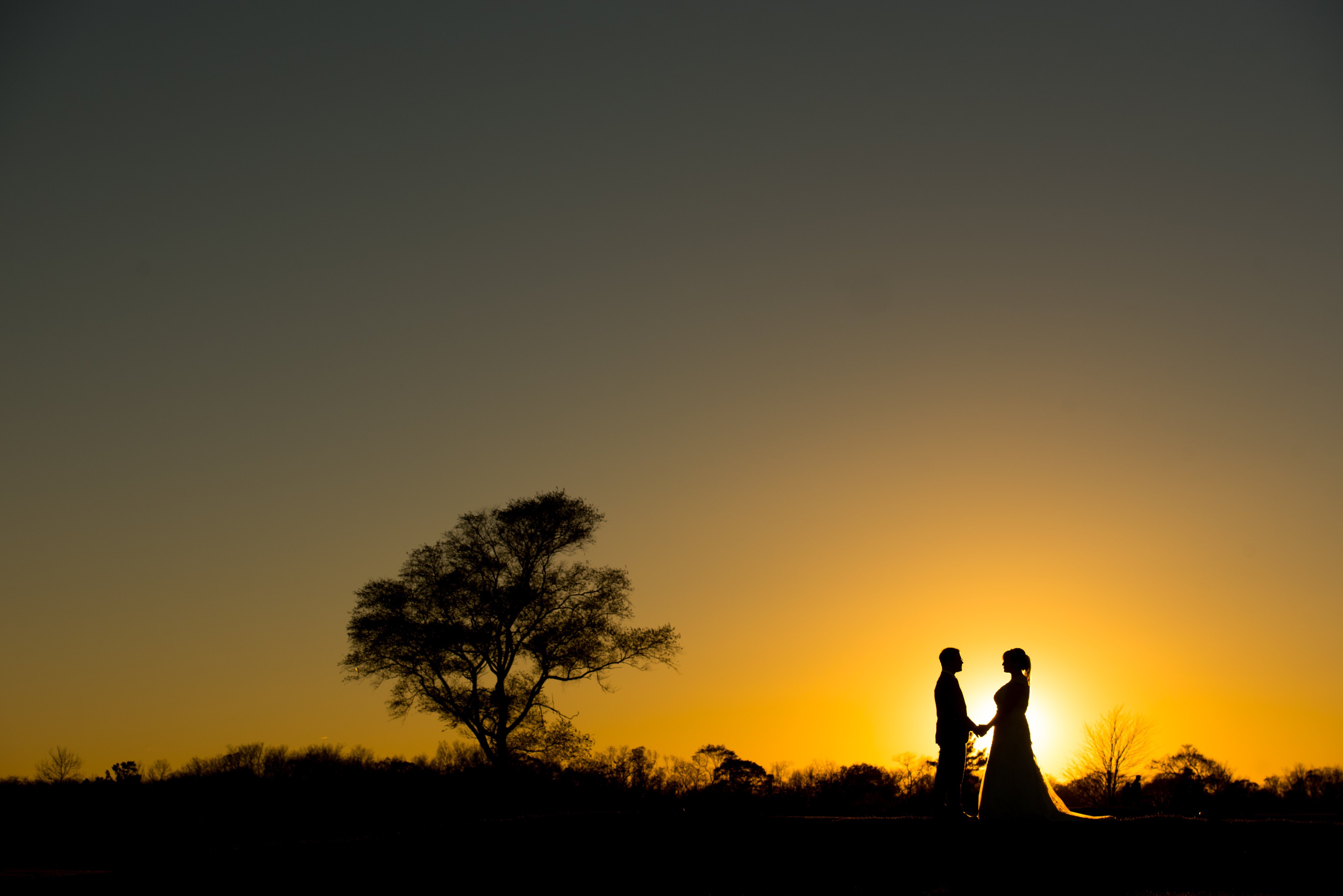 Silhouette of Bride and Groom at Mansion at Timber Point | Lotus Wedding Photography