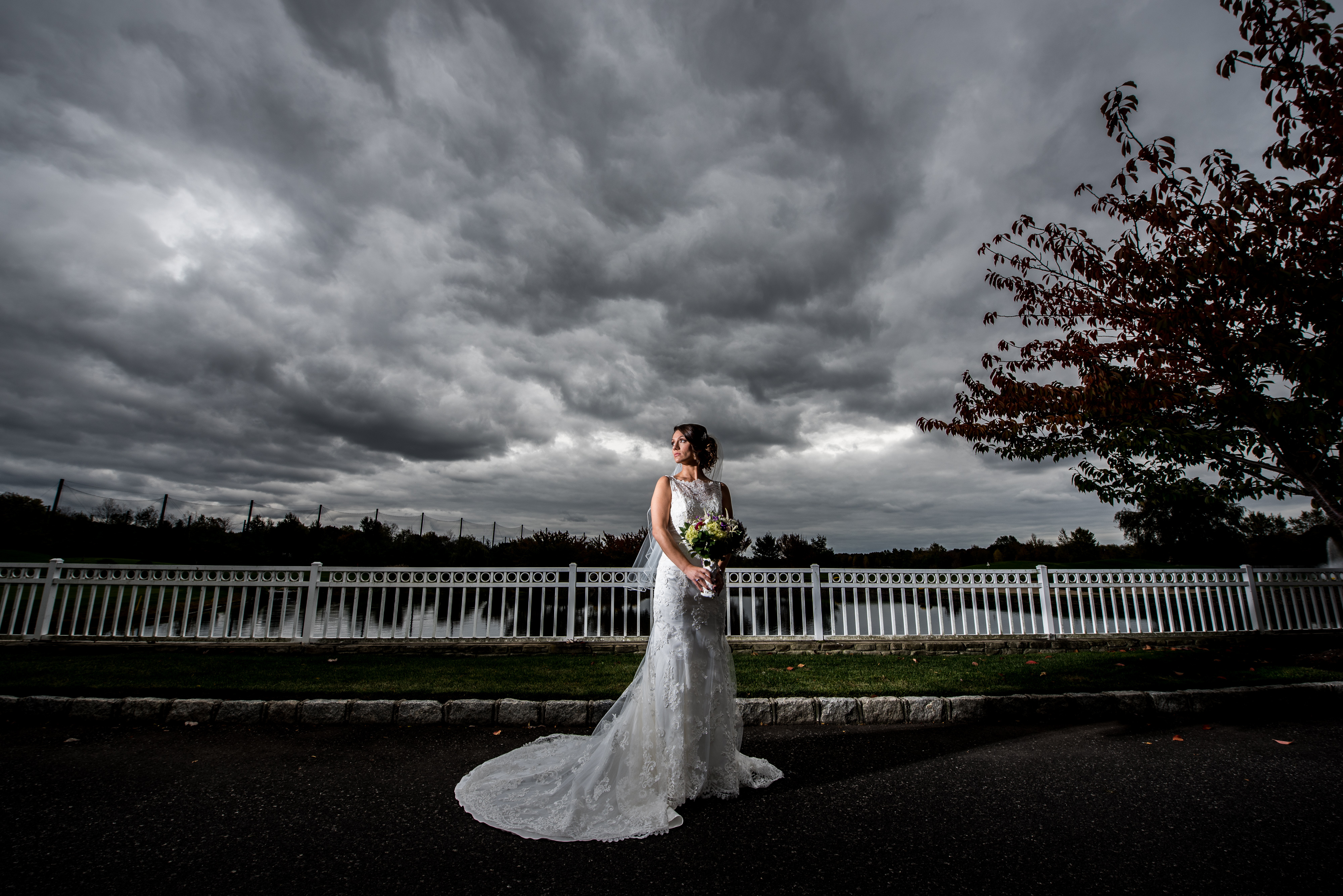 Bride poses under a gray stormy sky | Lotus Wedding Photography